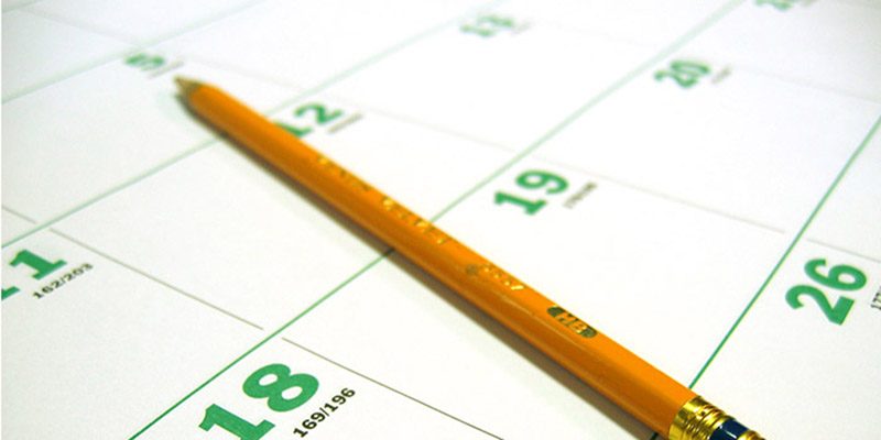 Feature image for Auction Schedule