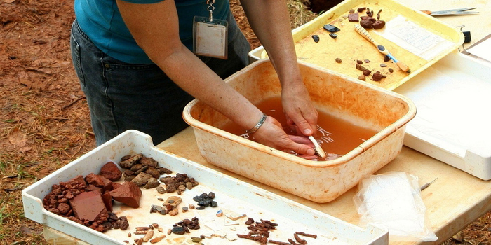 professional-archaeologist