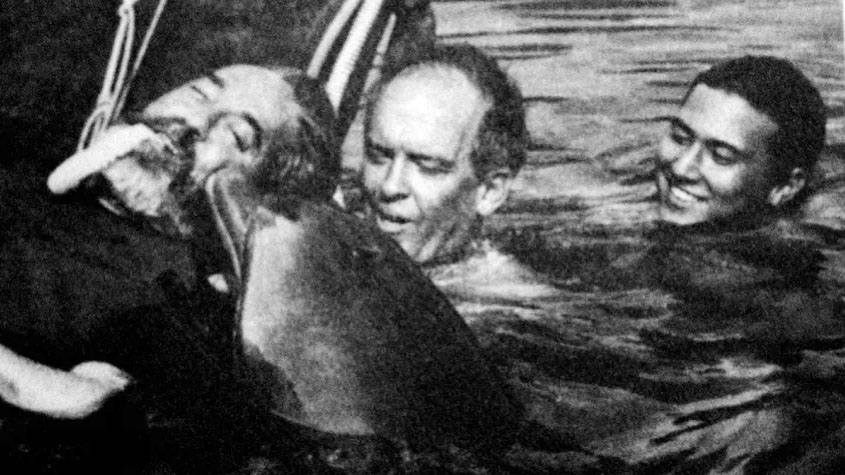 Ed Roberts swimming with dolphins