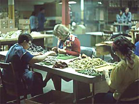 People working