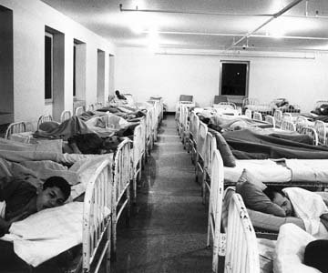 Rows of beds