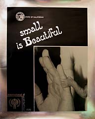 Small is Beautiful