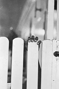 Child behind fence