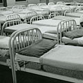 Rows of beds