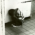 Huddled on floor
