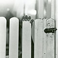 Child behind fence
