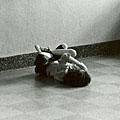 Child curled up in bare floor
