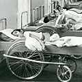 Row of wheel beds