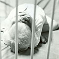 Child curled up behind bars